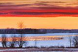 Geese On The Canal At Sunrise_28713
